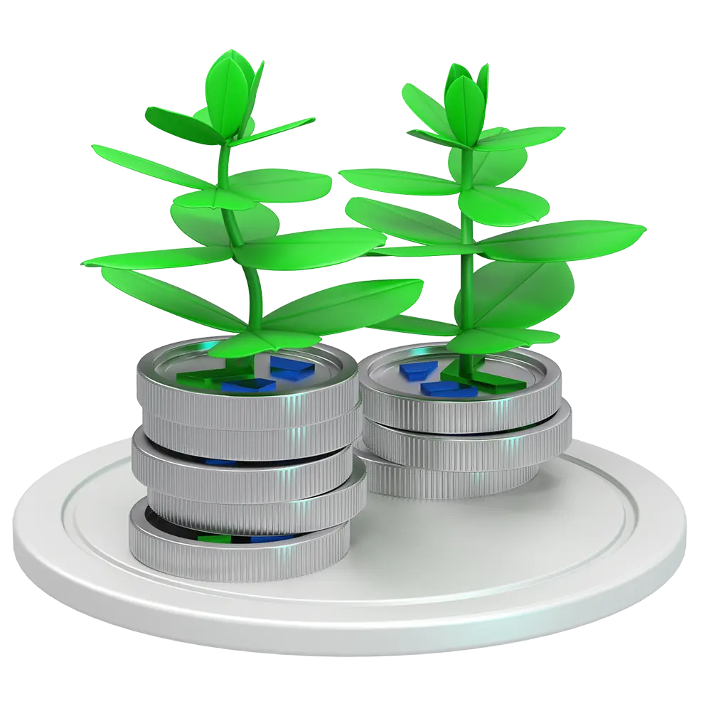 Financing from Young Entrepreneurs Support Fund